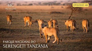 Parque Nacional do Serengeti  Tanzânia [upl. by Aihsekel]