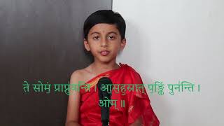 Trisuparna  Pankti Pavana Suktam  Yajurveda [upl. by Aritak]