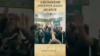 9 Muharram Juloos Haiderpur Jaunpur moharram 1446hijri 2024shorts video likeandsubscribe [upl. by Lissi]