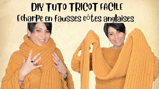 DIY TRICOT ECHARPE FACILE EN FAUSSES CÖTES ANGLAISES LAINE JULIA DE ZEEMAN [upl. by Howlan]