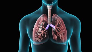 Spirometry  Test for Lung Function  Nucleus Health [upl. by Ahsiema]