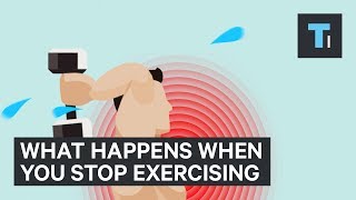 What Happens To Your Body When You Stop Exercising  The Human Body [upl. by Yelich]