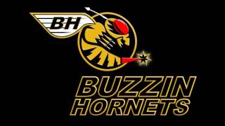 The Buzzin Hornets  All a Part of the Game [upl. by Aube277]