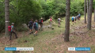 HautesAlpes  les randonnées itinérantes quotRetrouvancequot affichent complet depuis 25 ans [upl. by Dara]