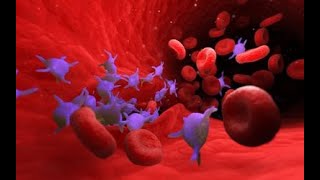 Blood Platelet Disorders  Rife Frequency  Binaural Beats  Healing Frequency [upl. by Ansev]