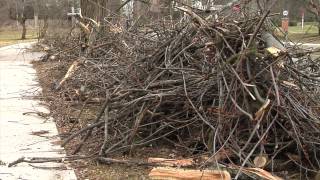 Storm Debris amp Brush Pickup Efforts [upl. by Kliman879]