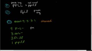 Linkage Mapping Part 2 Twofactor cross with linkage [upl. by Atinat]