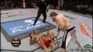 Antônio Rodrigo Nogueira vs Roy Nelson UFC Fight Night 40 full fight [upl. by Astrahan]