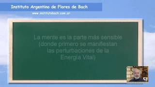 Flores de Bach Guía para su correcta selección Audiotutorial [upl. by Jaal]