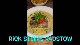 Padstow Cornwall Rick Steingoodfood finedining gastronomia tripadvisor holiday tourist [upl. by Imogene608]