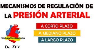 MECANISMOS DE REGULACIÓN DE LA PRESIÓN ARTERIAL [upl. by Karin102]