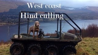 West Coast of Scotland red deer culling [upl. by Kati903]