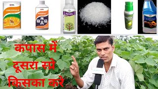 Cotton 2nd spray imida18acephate50  monocrotophos 36  planofix  mgso4 कपास में दूसरा स्प्रे [upl. by Osana]