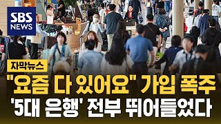 quot요즘 다 있어요quot 가입 폭주…5대 은행 전부 뛰어들었다 자막뉴스  SBS [upl. by Arreip]