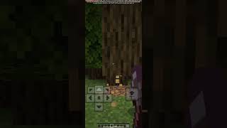 VeinMiner  Treecapitator in Minecraft Bedrock  Addon Edds VeinCapitator bedrock mcpe mods [upl. by Eanert338]