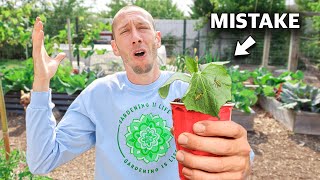 You’re Killing Your Cucumbers if You Do This 5 MISTAKES You Can’t Afford to Make Growing Cucumbers [upl. by Eri]