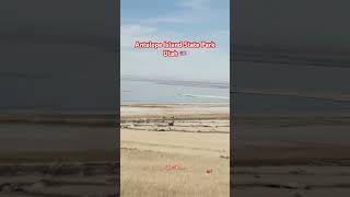 Driving through Antelope Island offers spectacular views and peaceful wildlife sightings subscribe [upl. by Annaya166]