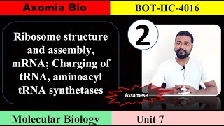 Ribosome structure tRNA enzyme  Unit 7  Class 2  Axomia Botany  BOTANY MAJOR GU 4thsem [upl. by Notnef]