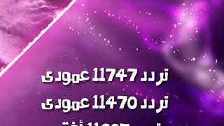 اقوي الترددات الشبكية لقمر نايل سات 2019 جميع القنوات بتردد واحد [upl. by Abbey]