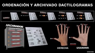 Ordenación y archivado dactilogramas [upl. by Romalda]