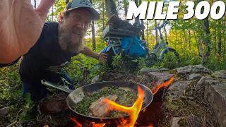 300 Mile E Bike Survival Challenge Day 5 No Food No Water No Shelter No Money [upl. by Eico]