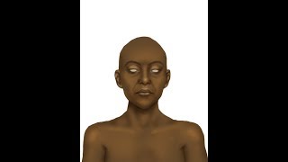 The Face of Queen Tiye Artistic Reconstruction [upl. by Theresita]