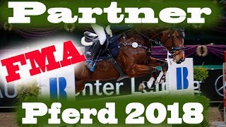 FMA PARTNER PFERD 2018  Stangendesaster und Entwicklung  MA Chevaux De Sport [upl. by Ocinemod]