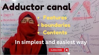 Adductor canal  features  contents  boundaries  lower limb anatomy ayesha medical education [upl. by Rasia]