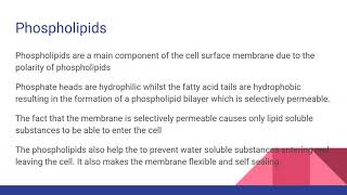 STRUCTURE OF THE CELL MEMBRANE For AQA OCR and Edexcel A level Biology [upl. by Anoif]