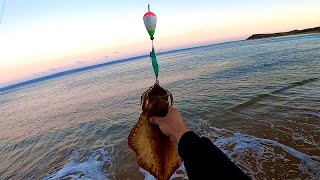 Best way to catch GIANT SQUID and WHITING from the beach [upl. by Rodoeht228]