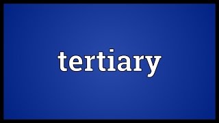 Tertiary Meaning [upl. by Keslie]