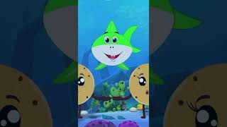 Bebê Tubarão Doo Doo Shorts Music Kids Cartoon BabyShark [upl. by Akahc]