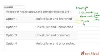 Rhizoids of hepaticopsida and anthocerotopsida are [upl. by Annairoc]