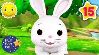 Bunnies Bunnies Bunnies  Nursery Rhymes for Kids  Little Baby Bum Kids Songs  Little Baby Morning [upl. by Dorman]