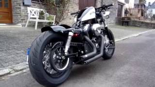 Harley Forty Eight mit Vance amp Hines und Thor cat System [upl. by Neelhsa]