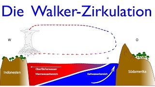 Klassiker aus dem Erdkundeunterricht Die WalkerZirkulation [upl. by Riggs]