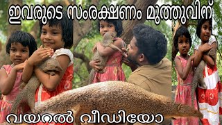 ഈ കുഞ്ഞുങ്ങളുടെ സംരക്ഷകൻ മുത്തു എന്ന ഈ കീരിയാണ് [upl. by Ennahoj]