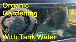 Aquaponics Methods for Organic Growing [upl. by Mauri]