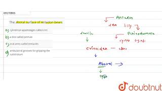 The aboral surface of Antedon bears [upl. by Atiuqihc]