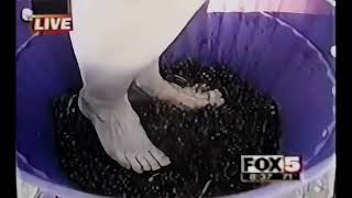 Grape Stomping Lady Falls 4K Upscaled [upl. by Wolsky271]