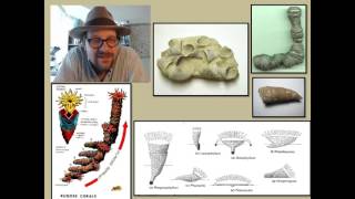 What are Cnidarians and what has their fossil record revealed about the history of life [upl. by Acinad]