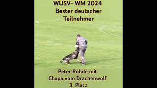 WUSV WM 2024  Bester deutscher Teilnehmer  Peter Rohde mit Chapa vom Drachenwolf [upl. by Lydia]