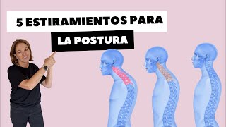 5 ESTIRAMIENTOS PARA LA POSTURA [upl. by Odella]