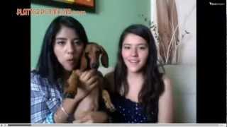 Polinesios en Twitcam Parte 1 de 8 [upl. by Orvas219]