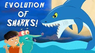 Evolution Of Sharks  The Dr Binocs Show  Best Learning Videos For Kids  Peekaboo Kidz [upl. by Leuamme91]