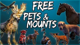 FREE PETS amp MOUNTS in Elder Scrolls Online ESO Guide [upl. by Ngo]