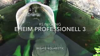 Eheim Professionel 3 Pflege und Reinigung HD [upl. by Ferren]