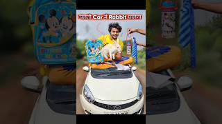 चलती Car मे खरगोश🐰पालना 🤣 rabbit comedy [upl. by Ahsietal]