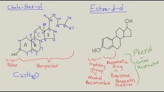 Intro to estrogen amp estrogenic chemistry [upl. by Carrington]