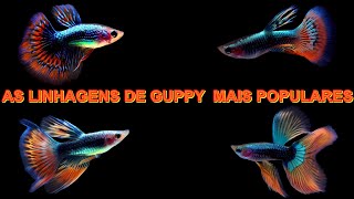 As Linhagens de Guppy mais Populares [upl. by Anabahs]